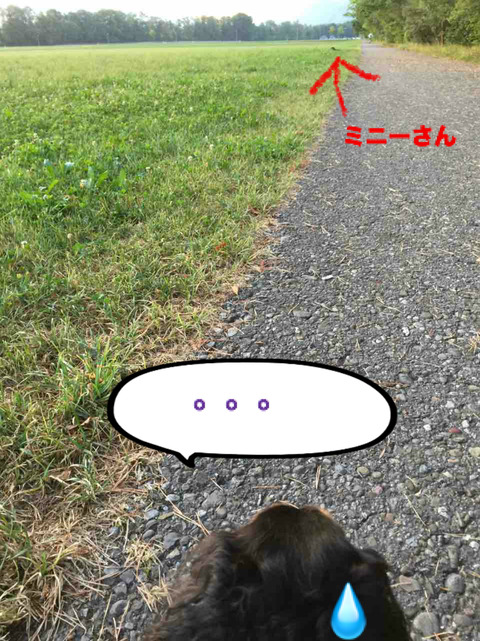 BlogPaint