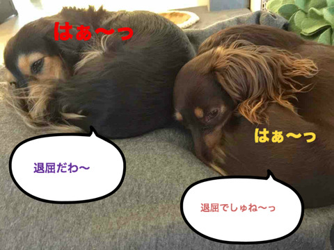 BlogPaint