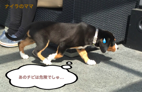 BlogPaint
