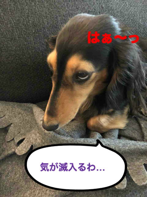 BlogPaint