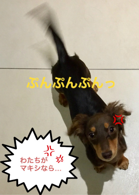 BlogPaint