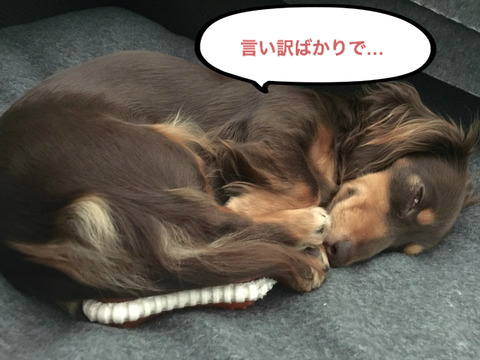 BlogPaint