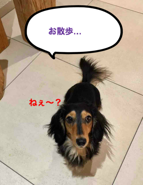 BlogPaint