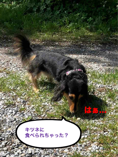 BlogPaint