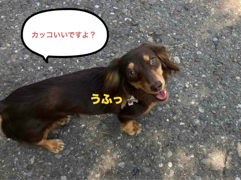 BlogPaint