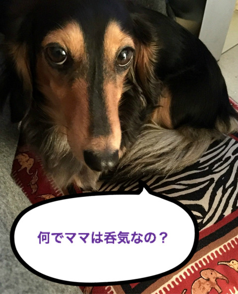 BlogPaint