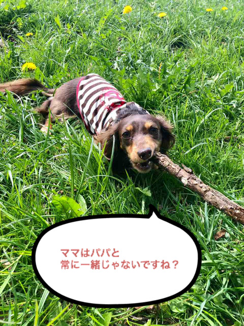BlogPaint