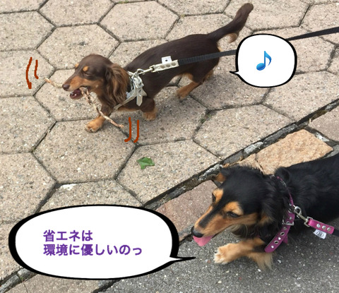 BlogPaint