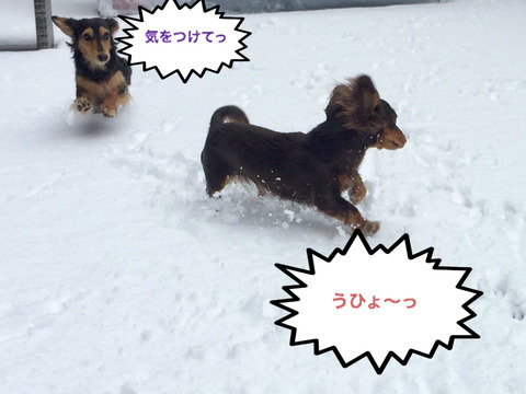 BlogPaint