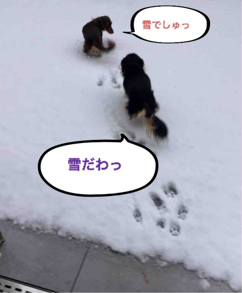 BlogPaint