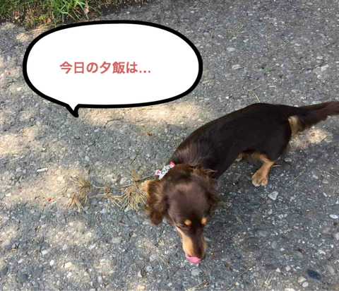 BlogPaint