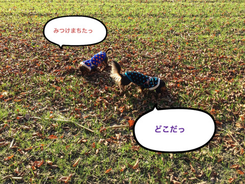 BlogPaint