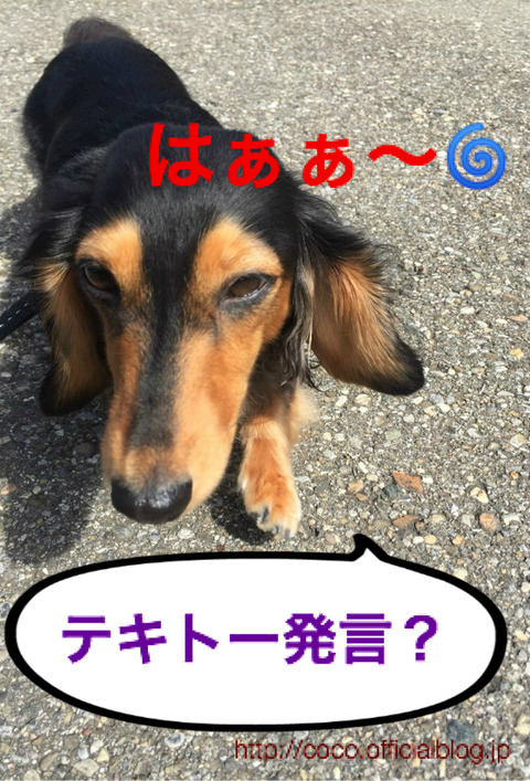 BlogPaint