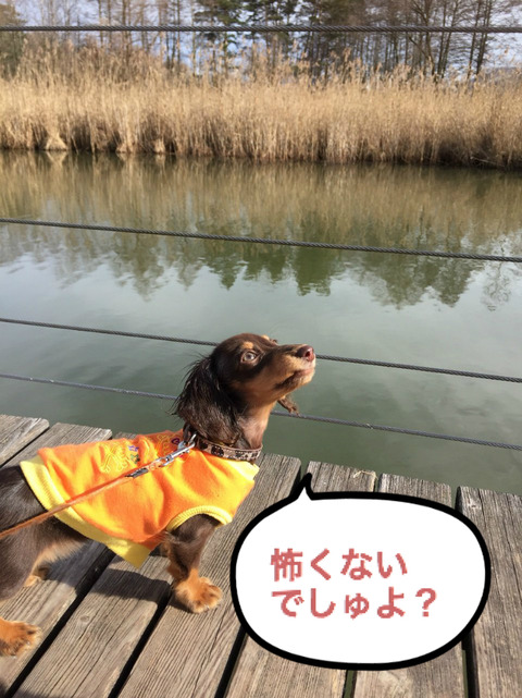 BlogPaint