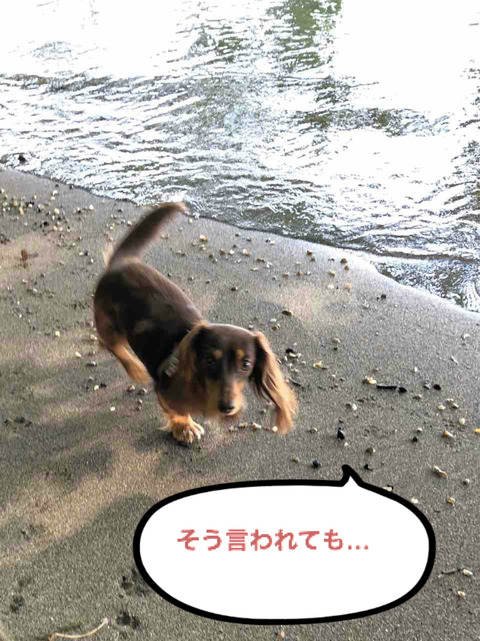 BlogPaint