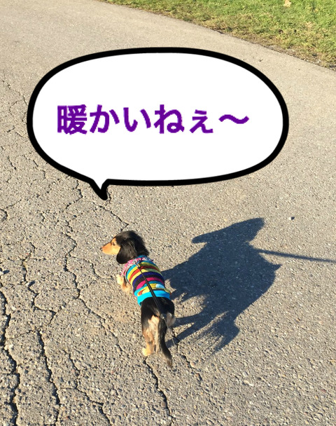 BlogPaint