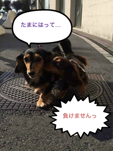 BlogPaint
