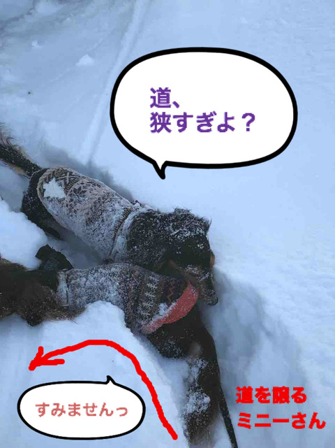 BlogPaint