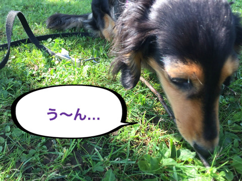 BlogPaint