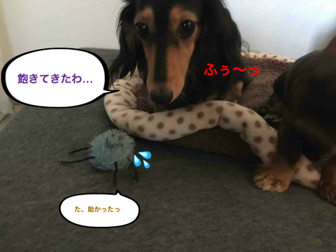 BlogPaint
