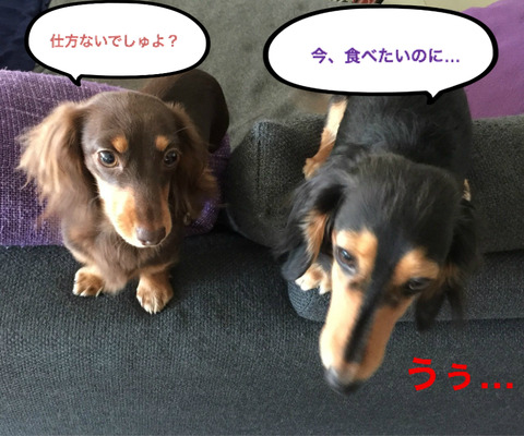 BlogPaint