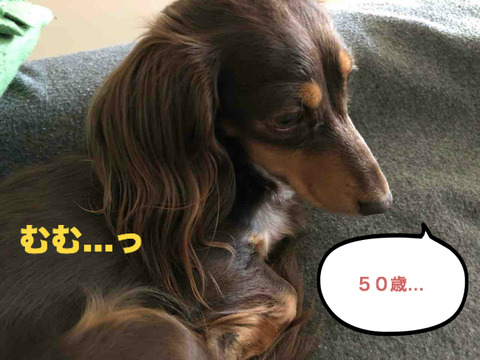 BlogPaint