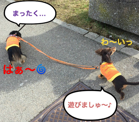 BlogPaint