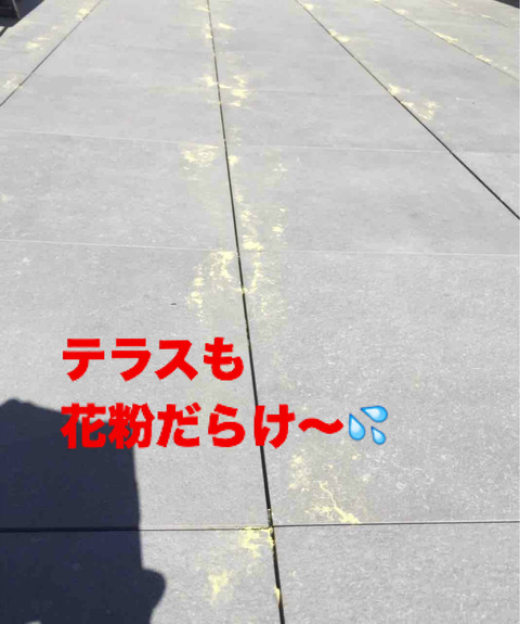 BlogPaint