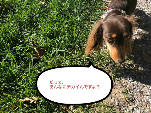 BlogPaint