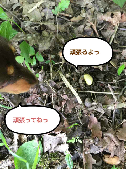 BlogPaint