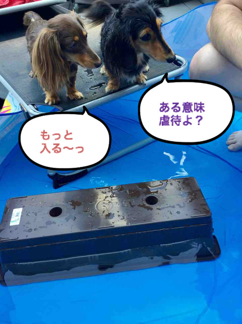 BlogPaint