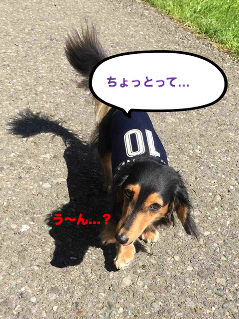 BlogPaint