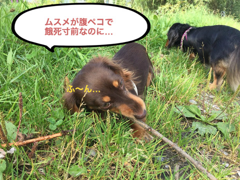 BlogPaint