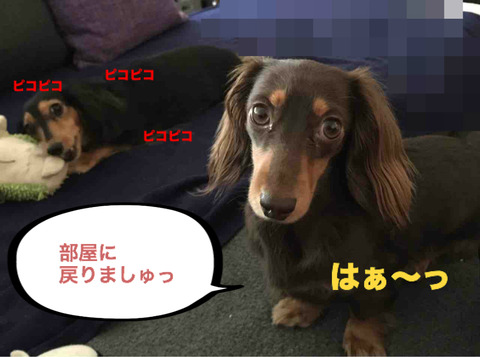 BlogPaint