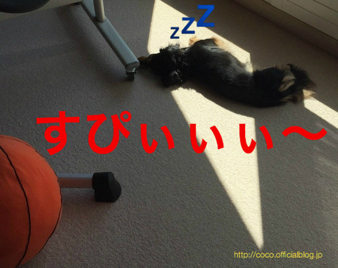BlogPaint
