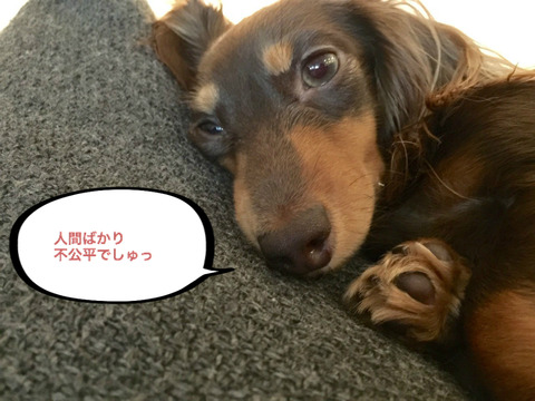 BlogPaint