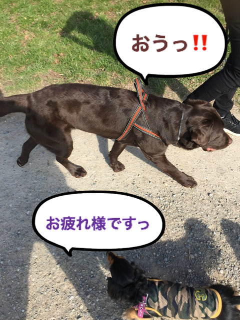 BlogPaint