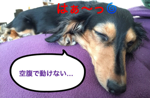 BlogPaint