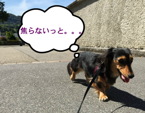 BlogPaint