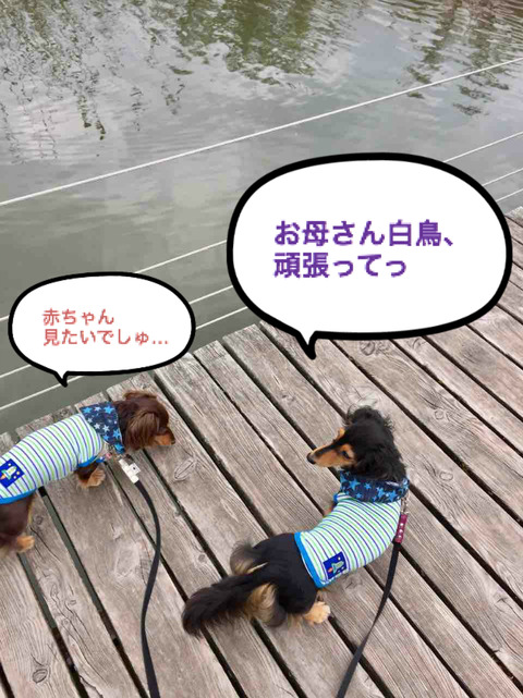 BlogPaint