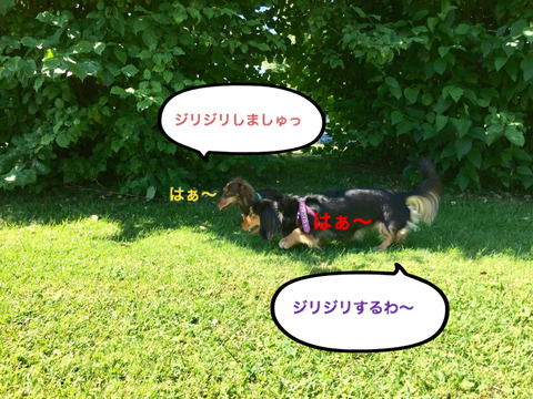 BlogPaint