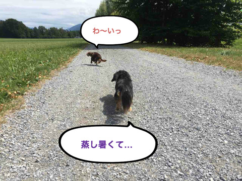 BlogPaint
