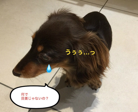 BlogPaint