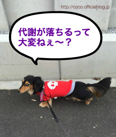 BlogPaint
