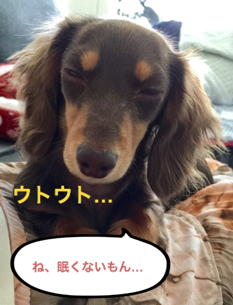 BlogPaint