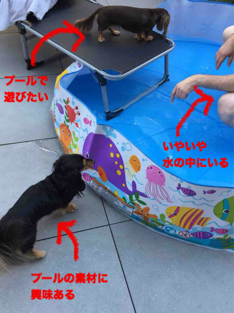 BlogPaint