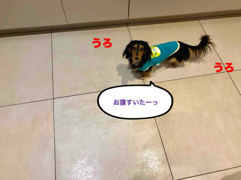 BlogPaint