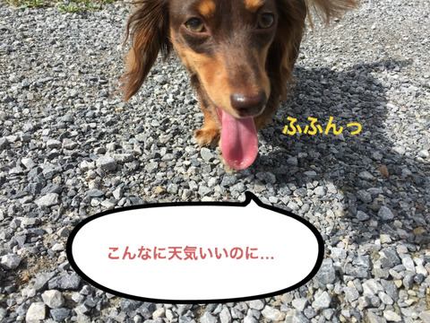 BlogPaint