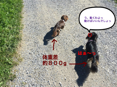 BlogPaint