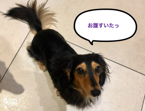 BlogPaint